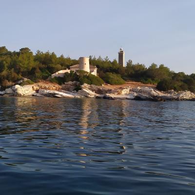 508177186 10162828462151212 7547967744196786269 N